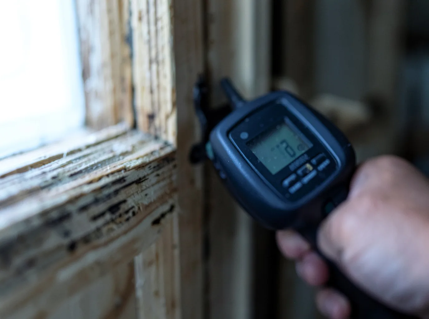 Moisture Inspection And Documentation in Harned, KY